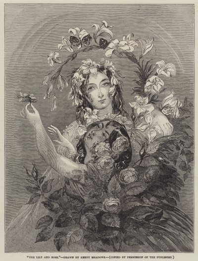 Lilia i Róża autorstwa Joseph Kenny Meadows